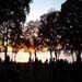 earthdancesunsetthumb.jpg
